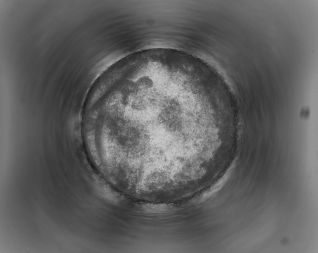 X0000101411121200808041058