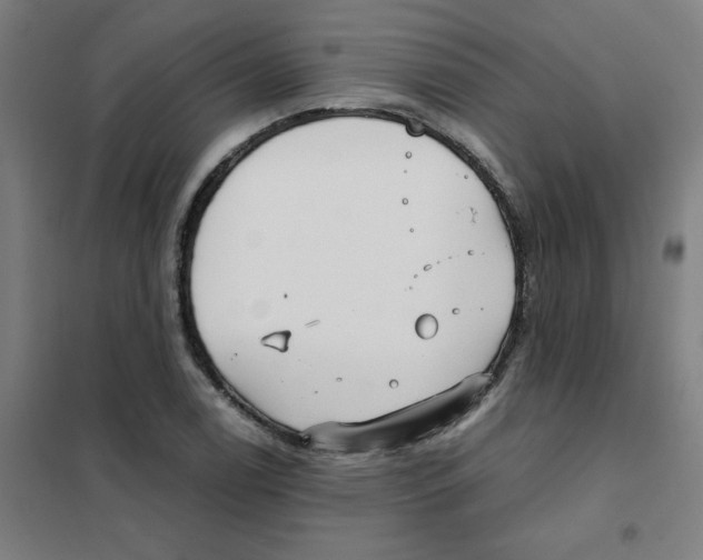 X0000101411122200808041058