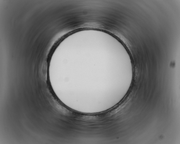X0000101411123200808041058