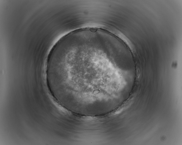 X0000101411124200808041058