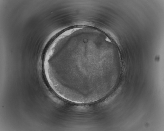 X0000101411125200808041058