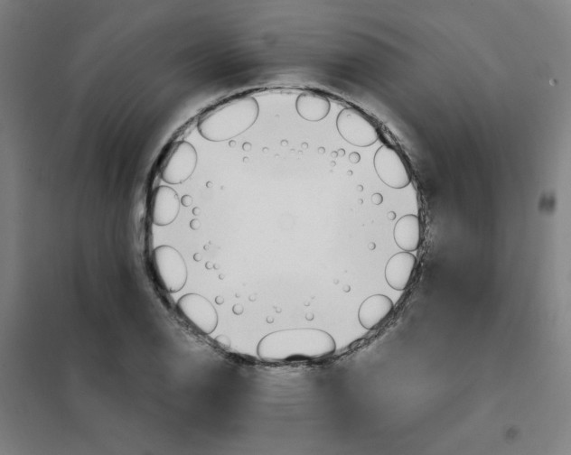 X0000101411126200808041058