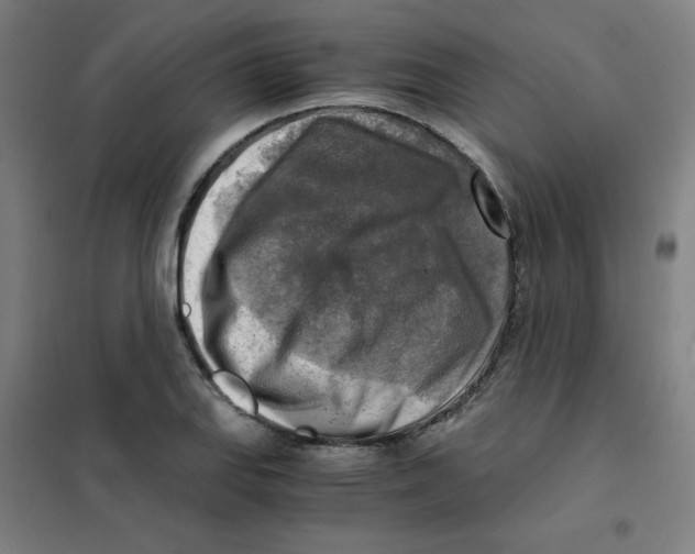 X0000101411127200808041058