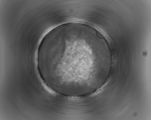 X0000101411128200808041058