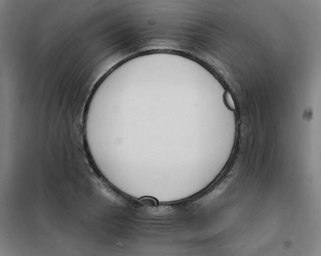 X0000101411129200808041058
