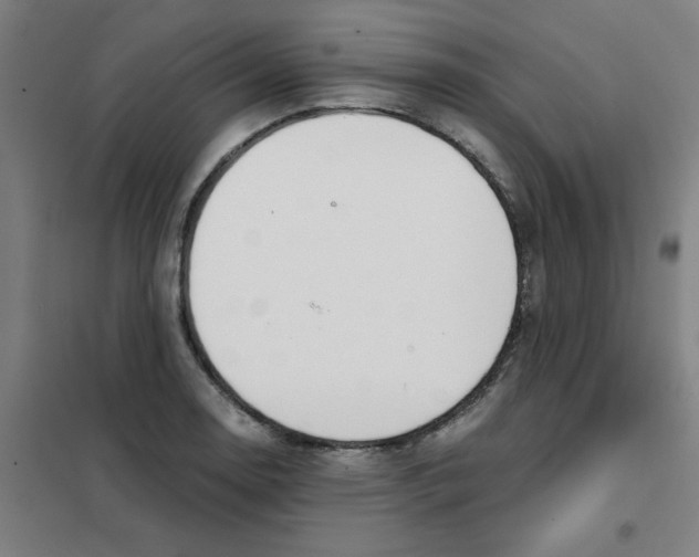 X0000101411130200808041058