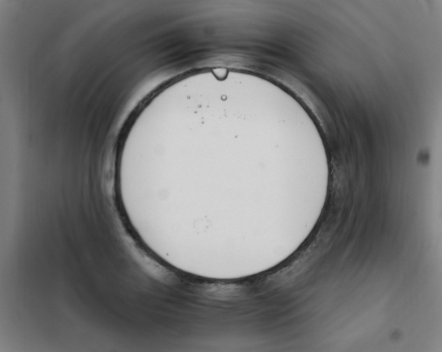 X0000101411131200808041058