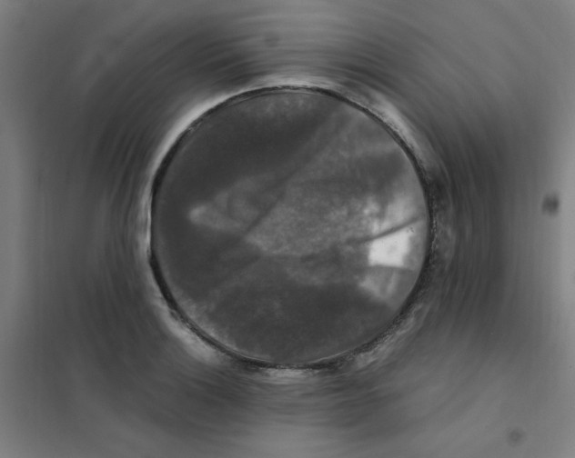 X0000101411132200808041058
