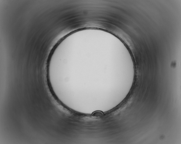 X0000101411133200808041058