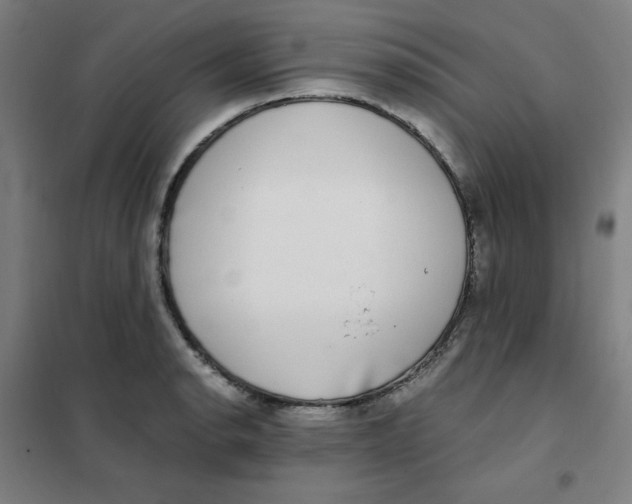 X0000101411134200808041058