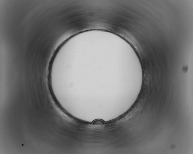 X0000101411135200808041058