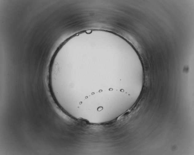 X0000101411136200808041058