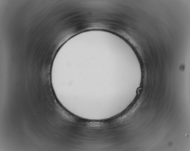 X0000101411137200808041058