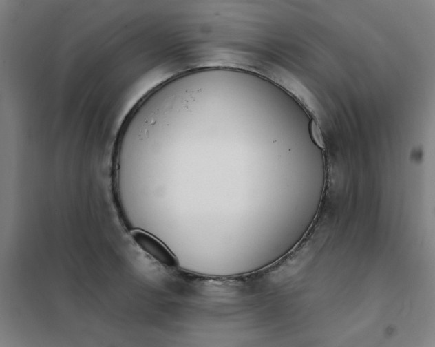 X0000101411138200808041058