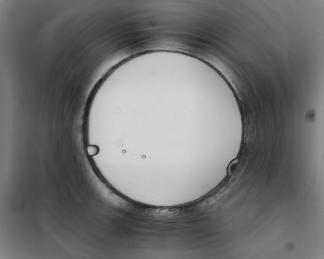 X0000101411139200808041058