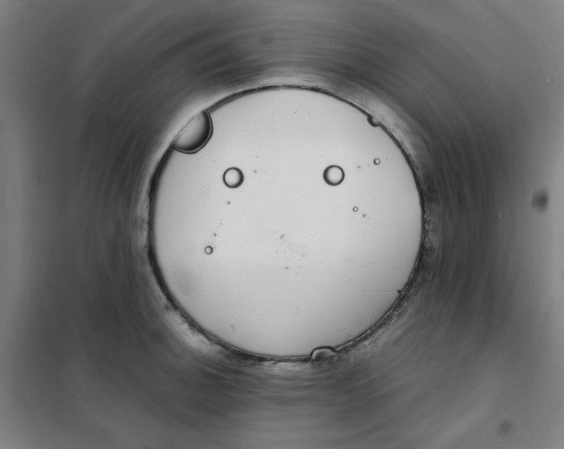 X0000101411140200808041058