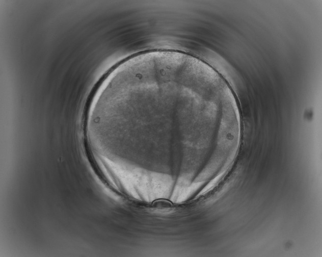 X0000101411141200808041058