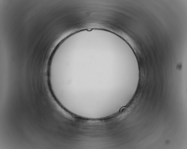X0000101411142200808041058