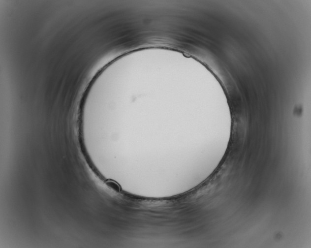 X0000101411143200808041058