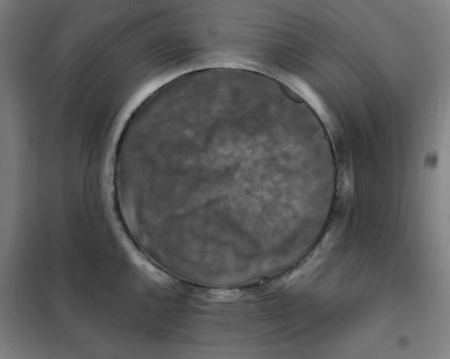 X0000101411144200808041058