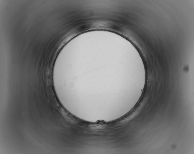 X0000101411145200808041058