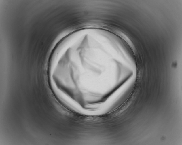 X0000101411146200808041058