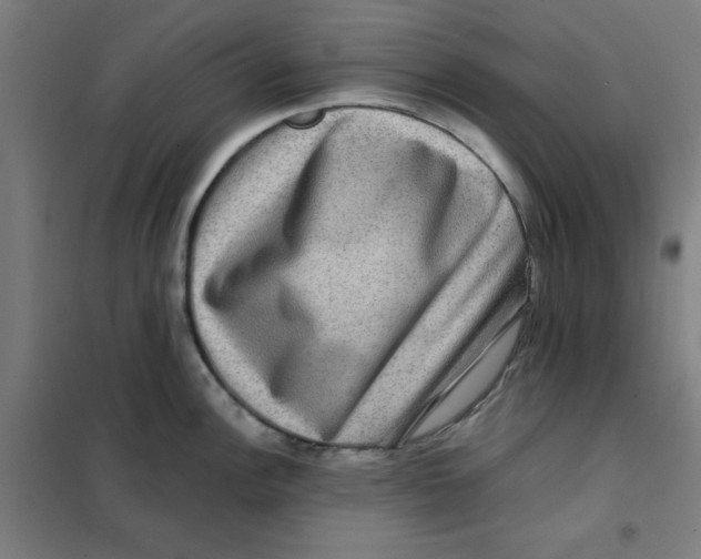 X0000101411148200808041058