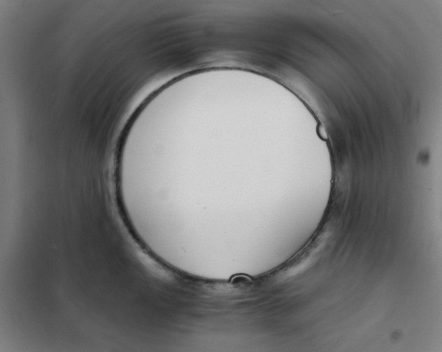 X0000101411149200808041058