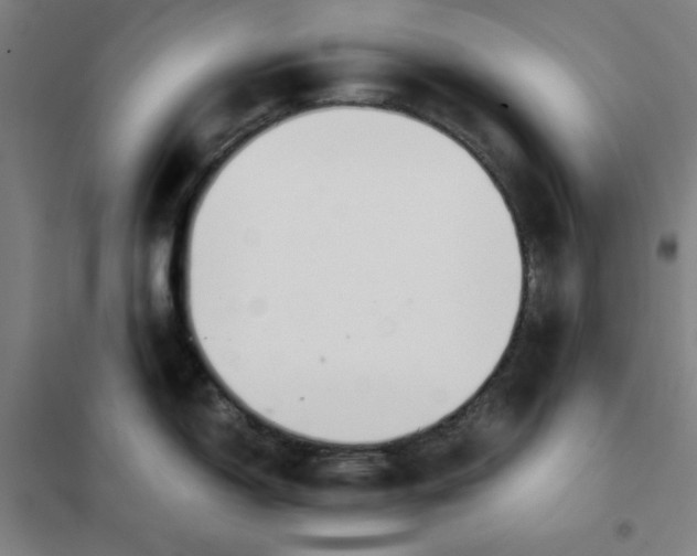 X0000101411150200808041058