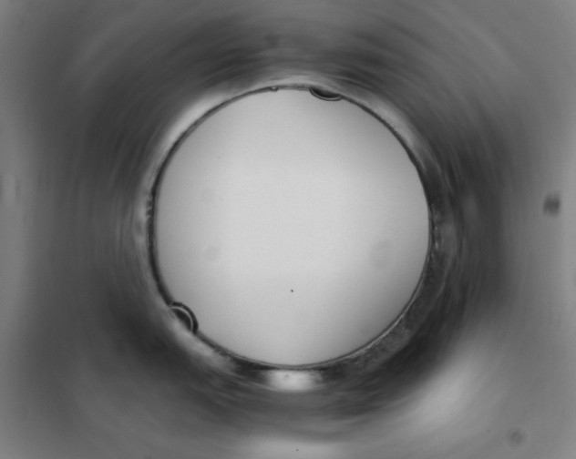 X0000101411151200808041058