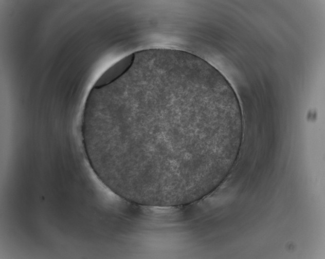 X0000101411152200808041058