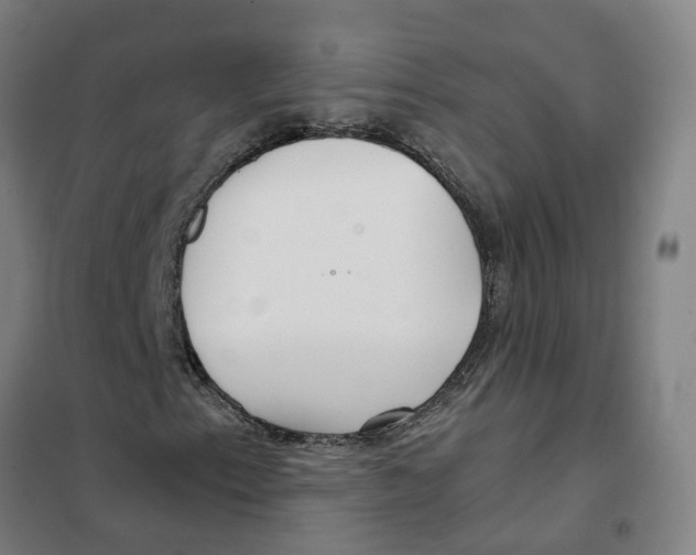 X0000101411153200808041057