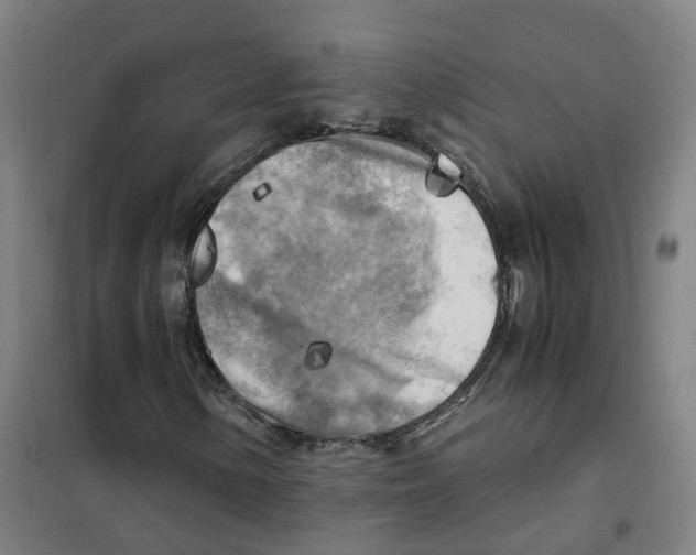 X0000101411154200808041057