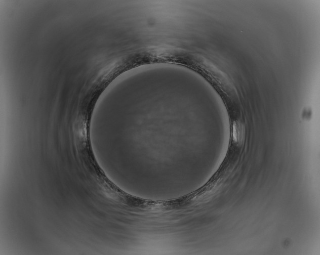 X0000101411155200808041057