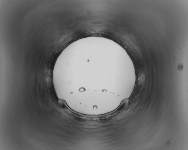 X0000101411156200808041057