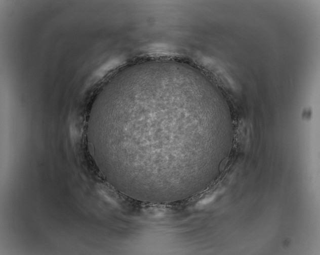 X0000101411157200808041057