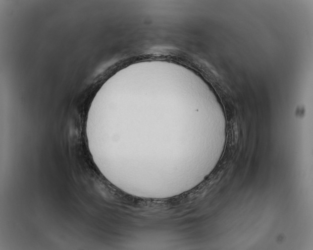 X0000101411158200808041057