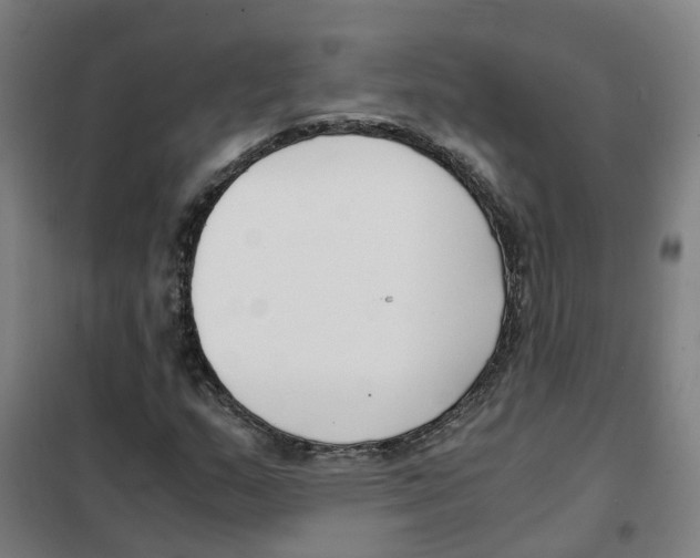 X0000101411159200808041057