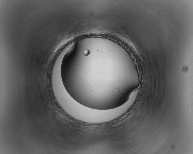 X0000101411160200808041057