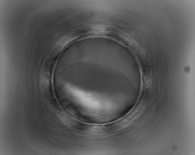 X0000101411161200808041057