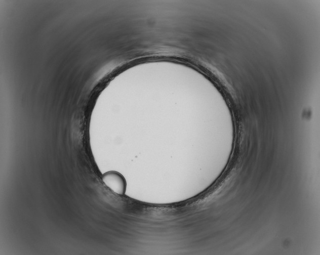 X0000101411163200808041057