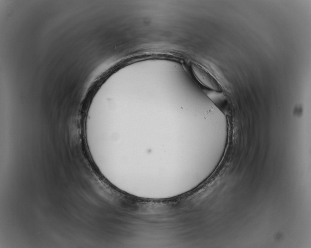 X0000101411164200808041057