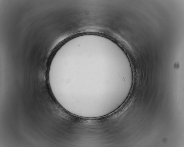 X0000101411166200808041057