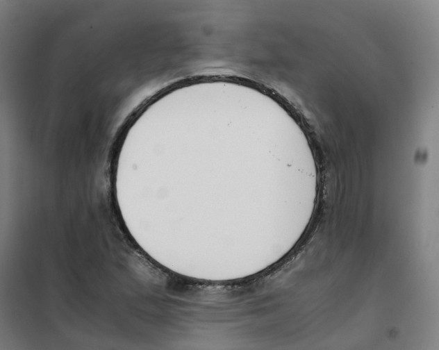 X0000101411167200808041057
