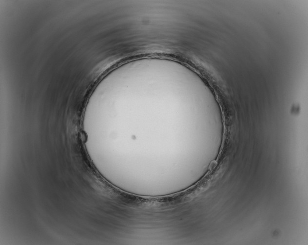 X0000101411169200808041057