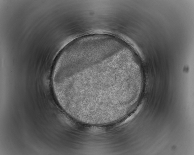 X0000101411170200808041057