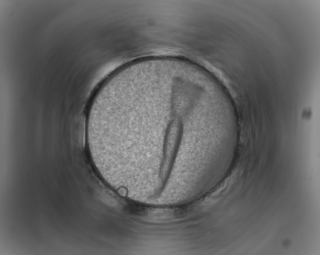 X0000101411171200808041057