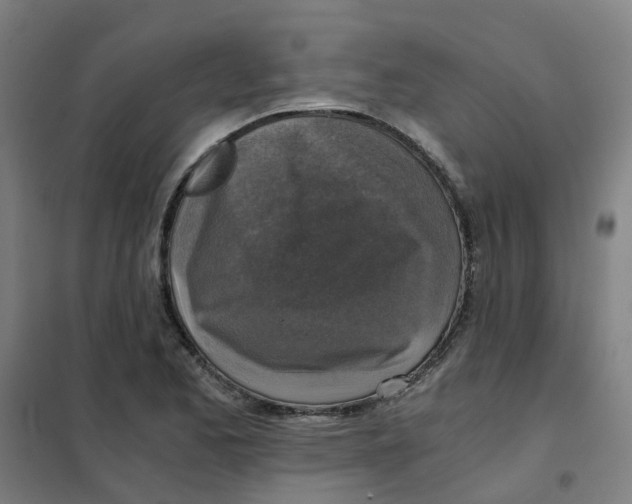 X0000101411173200808041057