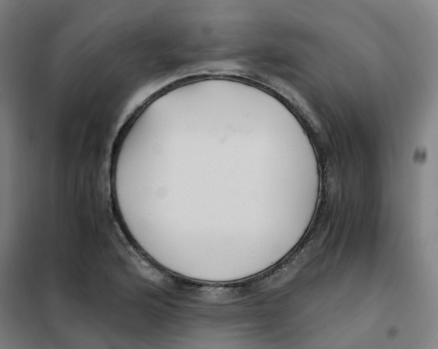 X0000101411176200808041057