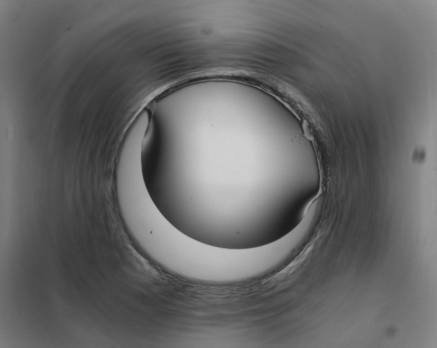 X0000101411177200808041057